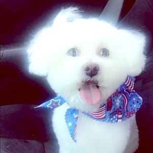 Annie to pretty girls not for sale